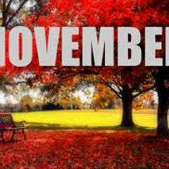 November13