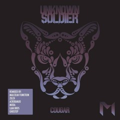 Unkown Soldier - Cougar (Zilch Remix)