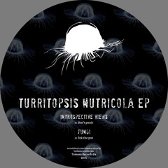 fungi - fok de put (TMN 04)