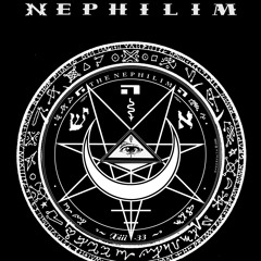 Fields Of The Nephilim - Straight to the Light