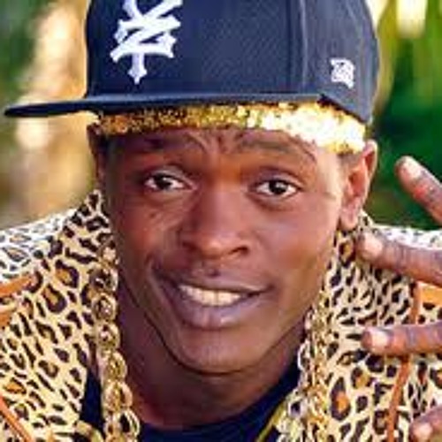 Zimo Zimo - Dr Jose Chameleon