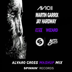 Avicii vs Martin Garrix & Jay Hardway - Hey Wizard (Alvaro Gross MashUp Mix) OUT NOW!