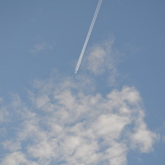 Sentimental Instrumental