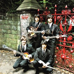 The Beetles One - I Need You