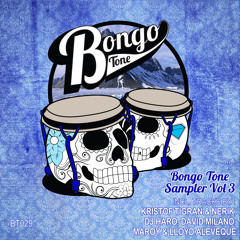 DAVID MILANO - VIDA (Bongo Tone Records) OUT NOW!!!