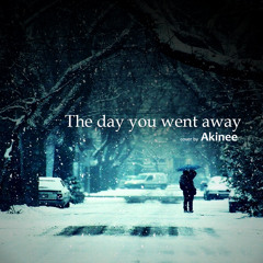The day you went away