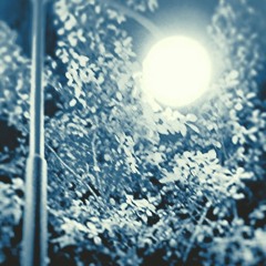 Solitude-Ryuichi Sakamoto (kibarek Remix)