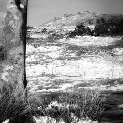 The Snow It Melts The Soonest (Trad. arr. Kim Guy)