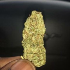 Chief''n by Drew YWU Feat. Boss Man