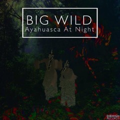Big Wild - Ayahuasca At Night