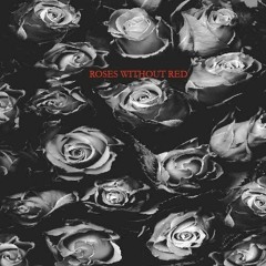 Shiwan - Roses Without Red