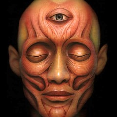 The 72nd Hour - The Horror Show