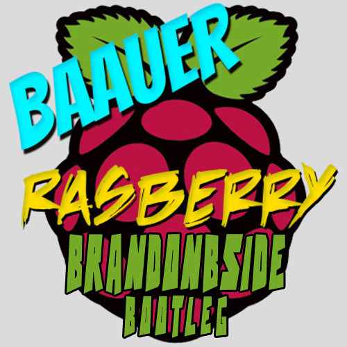 Rasberry Hips (BrandonBside Bootleg)