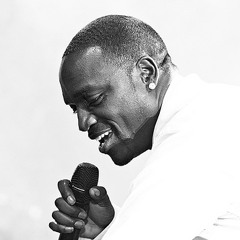 Akon - On Some Bullshit (2013) Stadium