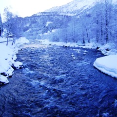 "I always aim to where my heart will go" (Song/tune by Einar Lunga; performed by Leiv Reed)