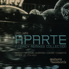 Van_Hai_-_Dernier Amour - Ripperton's No Love Lost Reshape