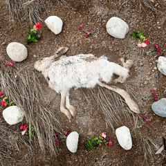 Ultra Gabber Hard Glitch Acid Core