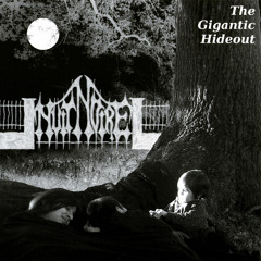 NUIT NOIRE “Walking Through the Darkness”