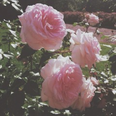 Geisha-Lumpuhkan Ingatanku(cover)