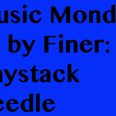Haystack Needle