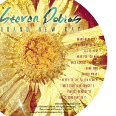 Brand New Day  - Album Brand New Day -pre-order @ stevendobias.com