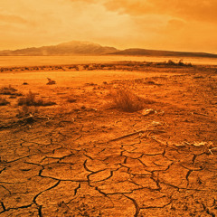 Desert Wasteland