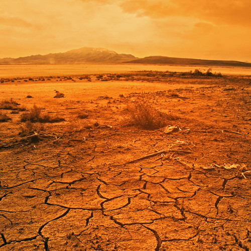 Desert Wasteland