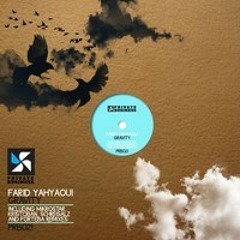 Farid Yahyaoui - Gravity - SchreisalZ Remix - preview - Out now on Private Business Records