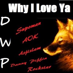 Why I Love Ya (Supoman, AOK, Asjislam, Danny Piffin, Rockstar32 Feat. Mr. Hudson on the Hook)