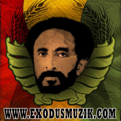 Exodus - I'll Be Praising Jah (Feds Watching Remix)Promo Use Only