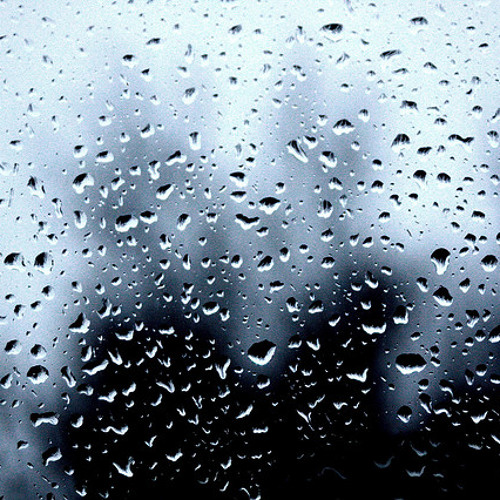 Shadows In The Rain