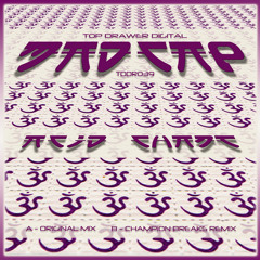 Madcap - Acid Chant (CBW Remix) FREE DOWNLOAD