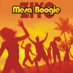 Mesa Boogie (Radio Edit)