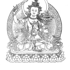Pratiche preliminari, insegnamenti di buddhismo tibetano di Lama Michel Rinpoche - 2012