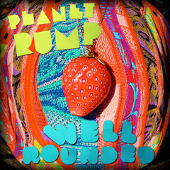 Planet Rump - Plain Clothes Cops (feat. DJ MB, Will Sheridan, Mystery Brown)