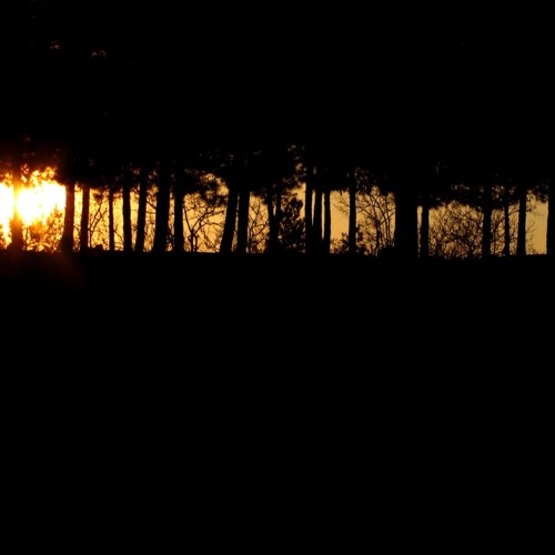 Dubstep + Metal = Metalstep Best Metalstep Mix! (part 1 ?) Metalstep and hard Dubstep/Darkstep