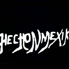 Hecho n Mexiko- Policia