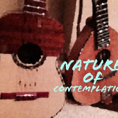 Nature of Contemplation