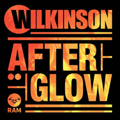 afterglow - wilkinson remix