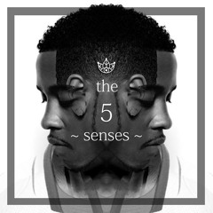 the 5 senses.