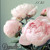Artwork for Talk About Love