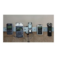 Blackcap M10 D50 LS7 R05 H1 Internal microphones TEST