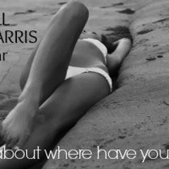 Hardwell, Calvin Harris ft. Ayah Marar - Thinking about where have you been (J Black FastMash)