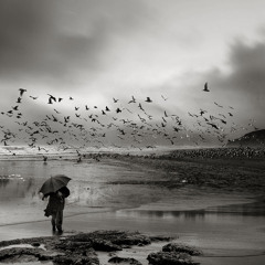 Keith Jarreth- The Wind