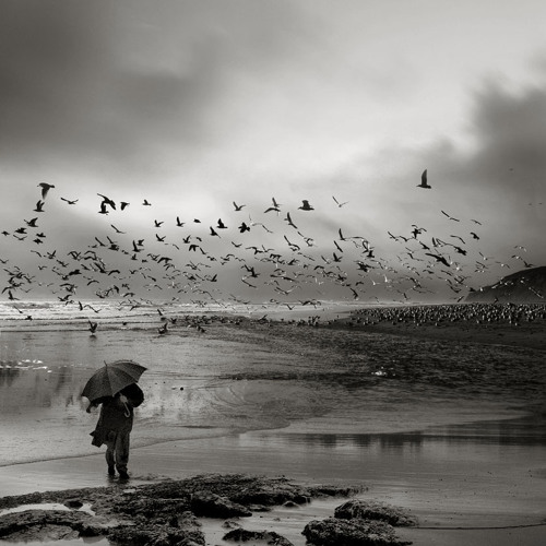 Keith Jarreth- The Wind