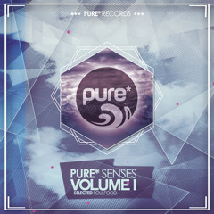 LOCO & TALUL - AS TIME GOES BY // pure* records