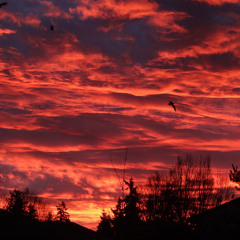 My Mistakes-Jos Peeters