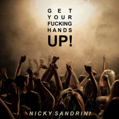 Get Your Fucking Hands Up! (Radio Edit)
