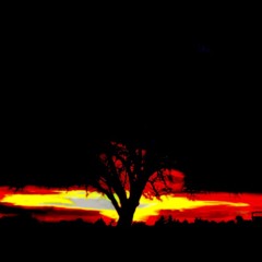 Terlouw & Anushka - Higher Level (Snip)