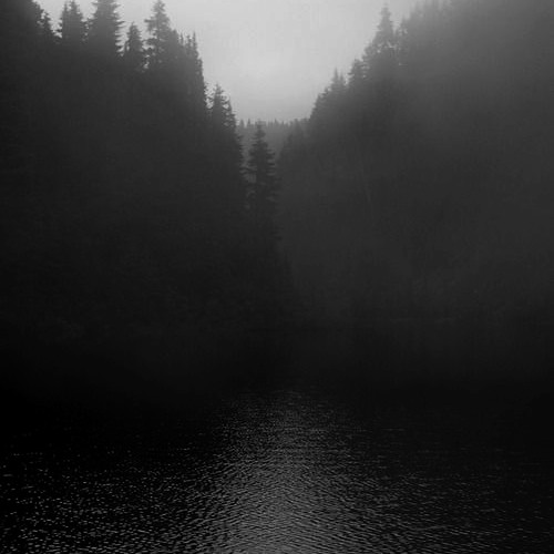 The Woods, Where I'm From (With Nori)